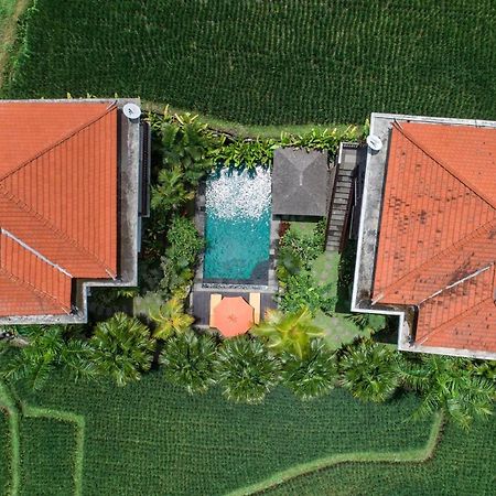 Cenik Villa Ubud Exterior foto