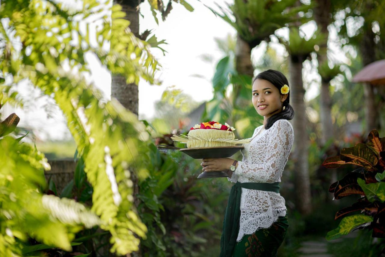 Cenik Villa Ubud Exterior foto
